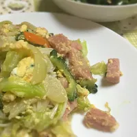 ゴーヤのそうめんチャンプルーと無限ピーマン|yu3eさん