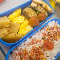 Snapdishの料理写真:お弁当|みどりさん