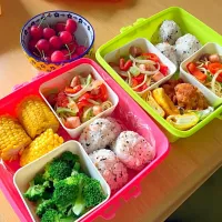 Snapdishの料理写真:ピクニックお弁当|Nozomi Sogoさん