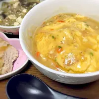 天津飯❤︎麻婆豆腐❤︎鳥ハム|うさっしーさん