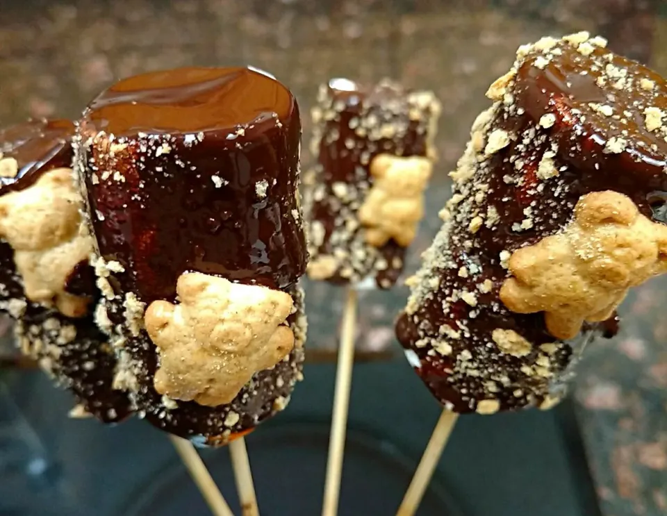 Homemade marshmallow s'more|paulaさん