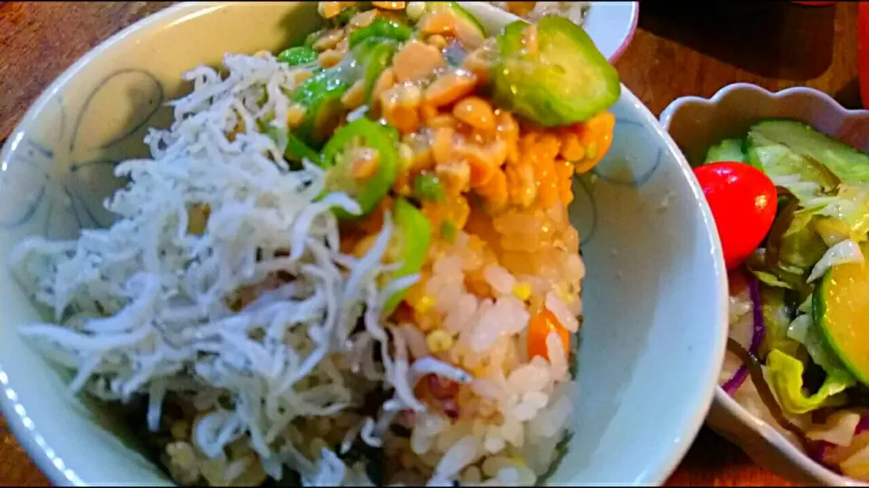 おくら納豆＆しらす の 雑穀米🍚|メイメイda.さん