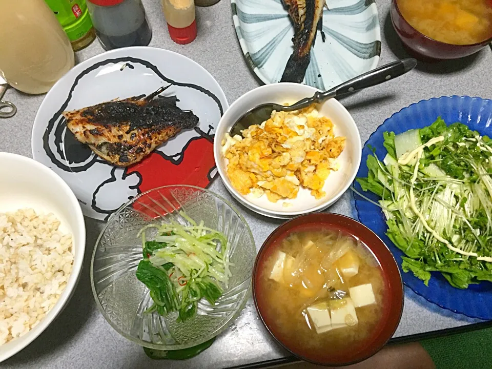 もち麦飯、ズッキーニのリボンサラダ、みずな漬物(自宅漬け)、炒り玉子、豆腐ミョーガ味噌汁、焼魚|ms903さん