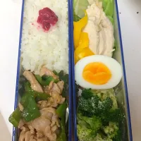 Snapdishの料理写真:ダイエット弁当2016/08/30|アサヒカリさん