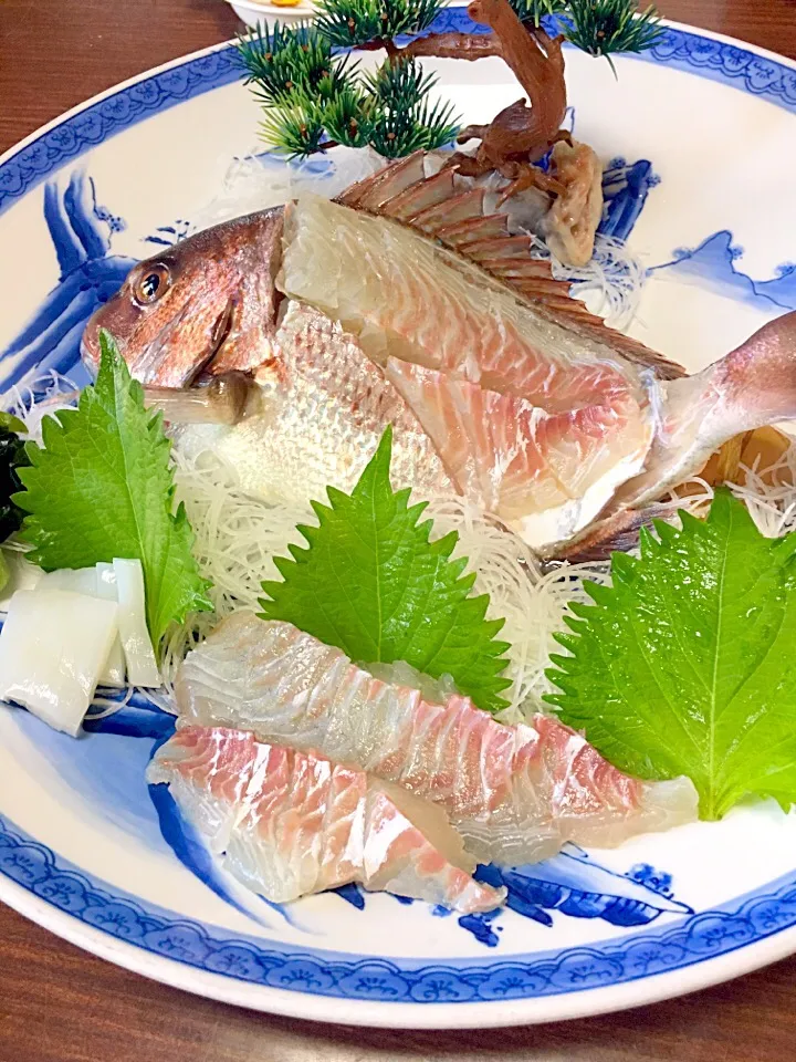 鯛のお刺身〜in淡路島|のんきーもんきーさん