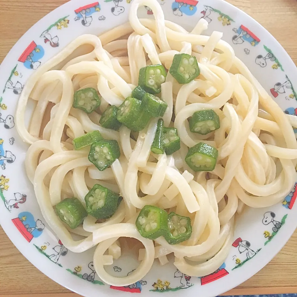 うどんオクラのせ
超手抜き(°∀°)|あきえさん