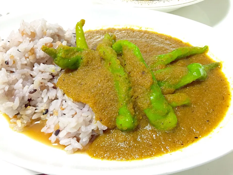 夏野菜カレー、玉ねぎとシシトウだけですが激ウマ|Hiroo  Higuchiさん