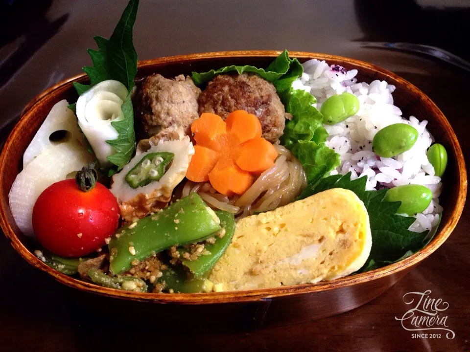 今日の私のお弁当🎵 枝豆ゆかりご飯、白滝と肉団子の煮物、モロッコインゲンの胡麻和えになどo(^▽^)o|とんちんさん