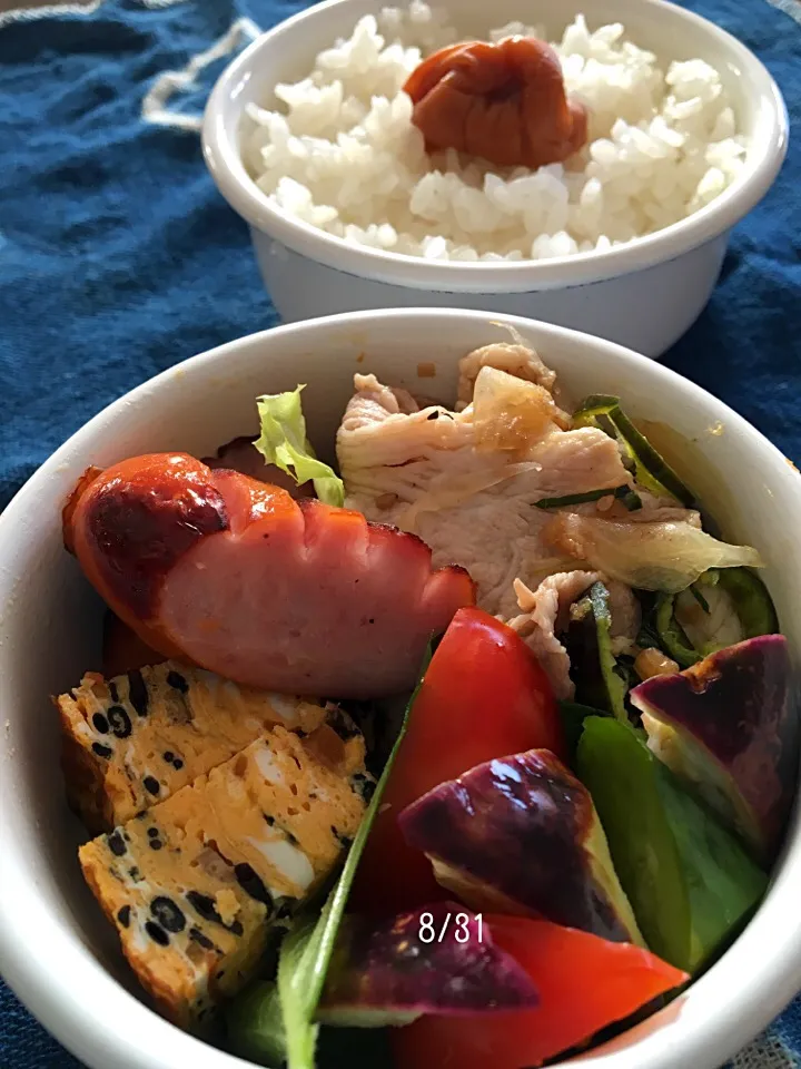 今日のおべんと〜😋 160831|Eririn   😋さん