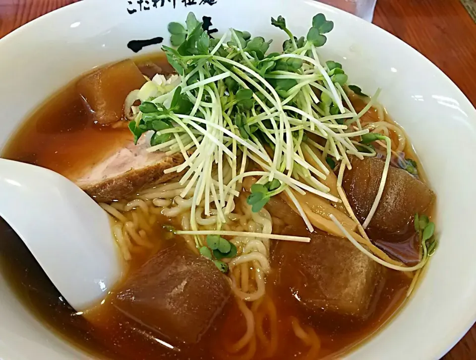 冷やし煮干ラーメン|哲さん