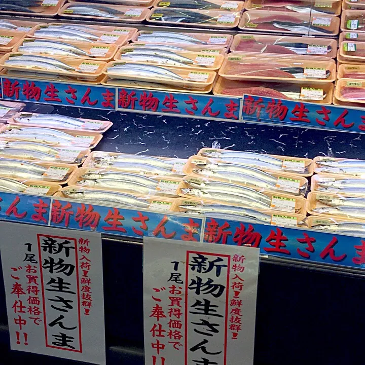 サンマ|mishaさん