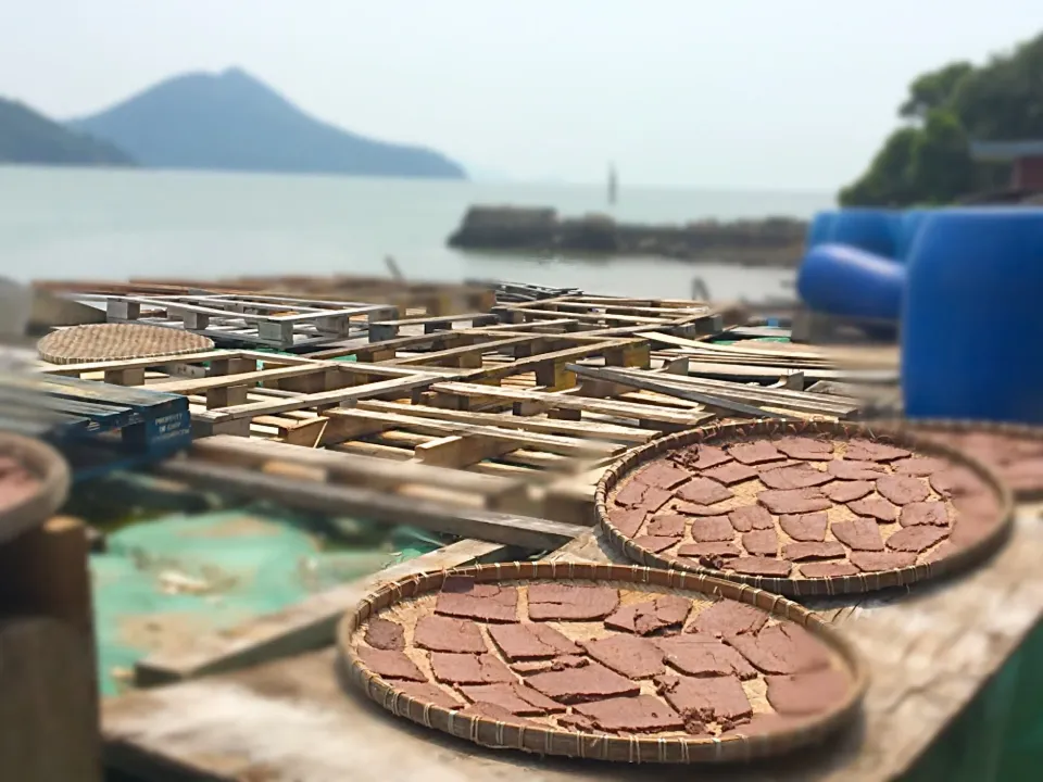 香港大澳蝦膏制造場所 Shimps Paste at Tai O Village Hong Kong|Mak Toniさん