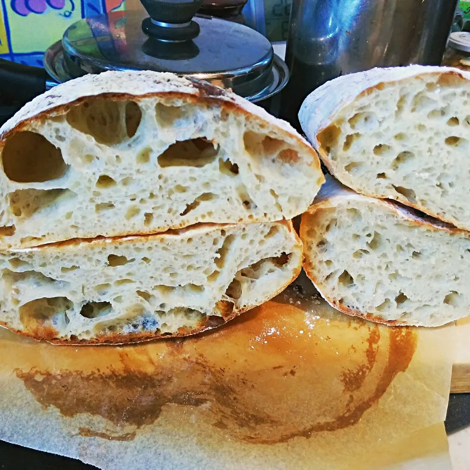 チャバタチャバタ。|ヌンチャク・コーイチさん