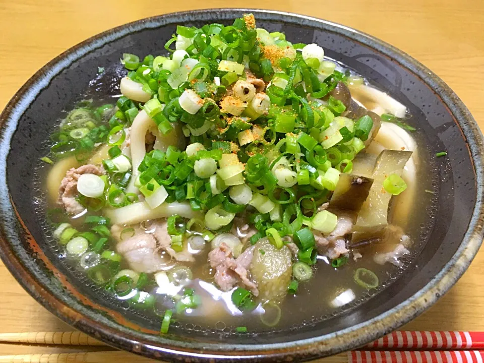 ネギたっぷり肉うどん✩︎グルメダレでアッサリだけどコク旨|友美さん