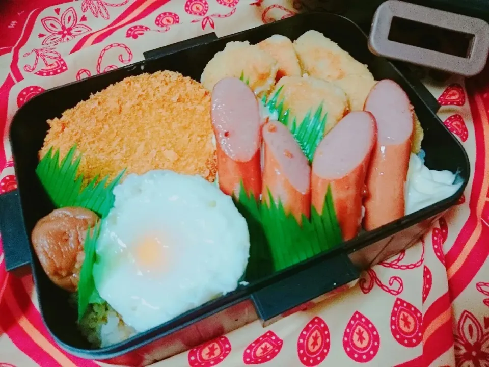 Snapdishの料理写真:ボリューム弁当|Yukaさん