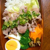 Snapdishの料理写真:豚のネギ塩ダレ弁当|しょうこさん