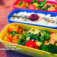 Snapdishの料理写真:息子1号&2号弁当|7korobyさん