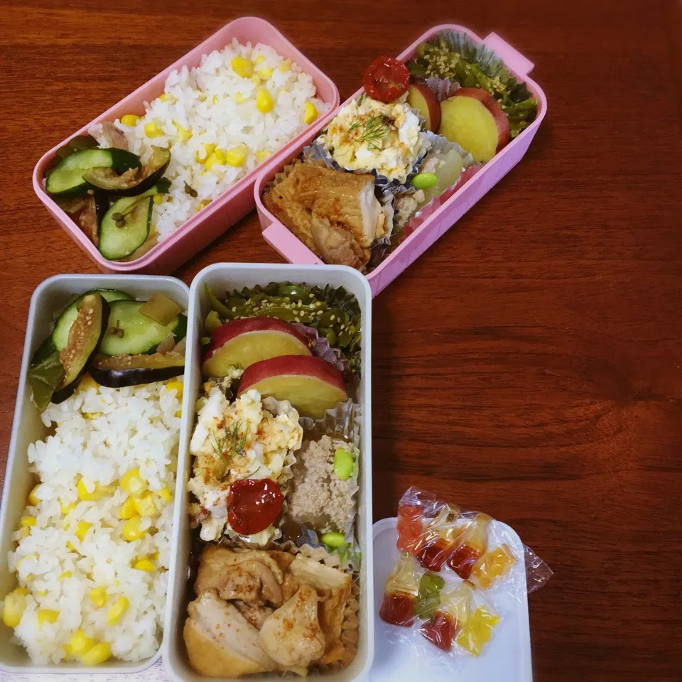 Snapdishの料理写真:9/2 お弁当|もっちさん