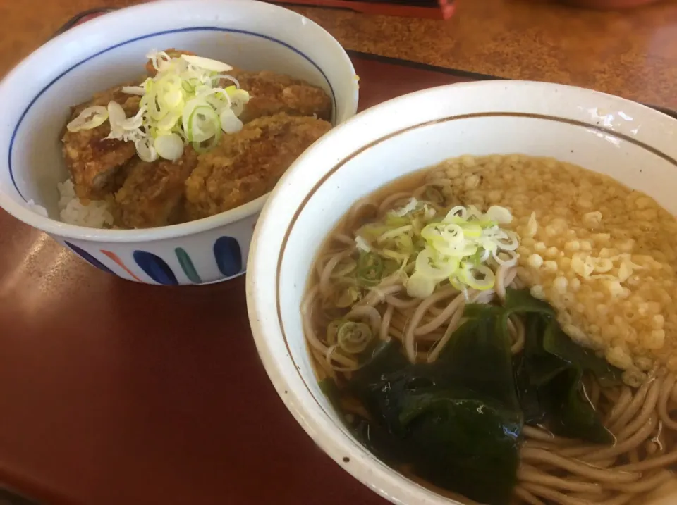 埼玉県名物「山田うどん」😋|アライさんさん