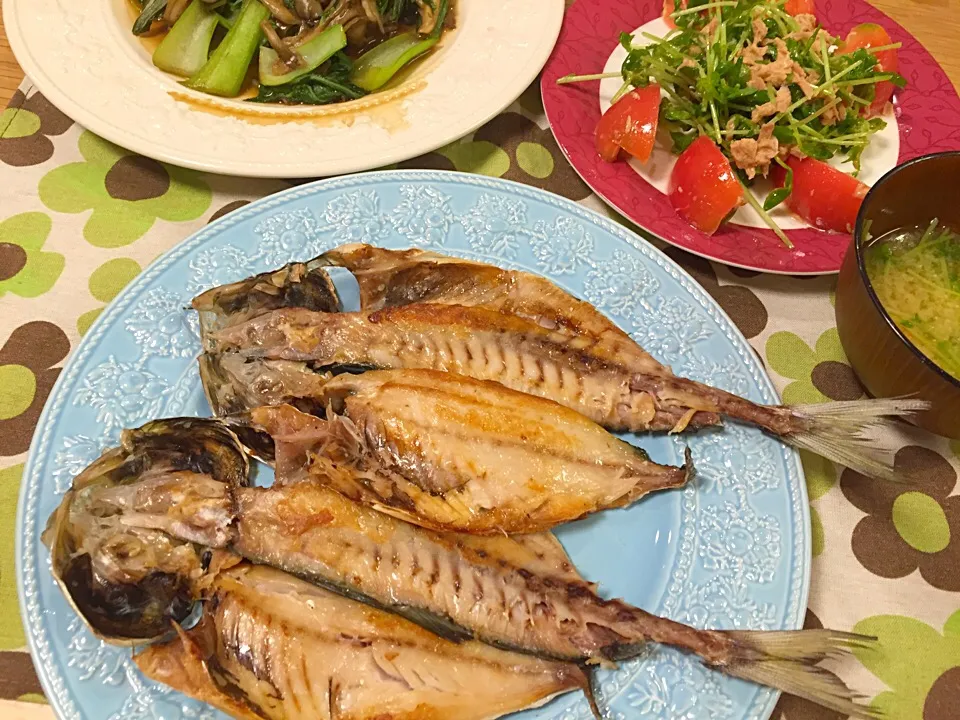 あじの開きと、青梗菜と舞茸のオイスターソース炒め、豆苗とツナのサラダ|かなさん