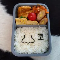 Snapdishの料理写真:鼻のお弁当|manacocoさん