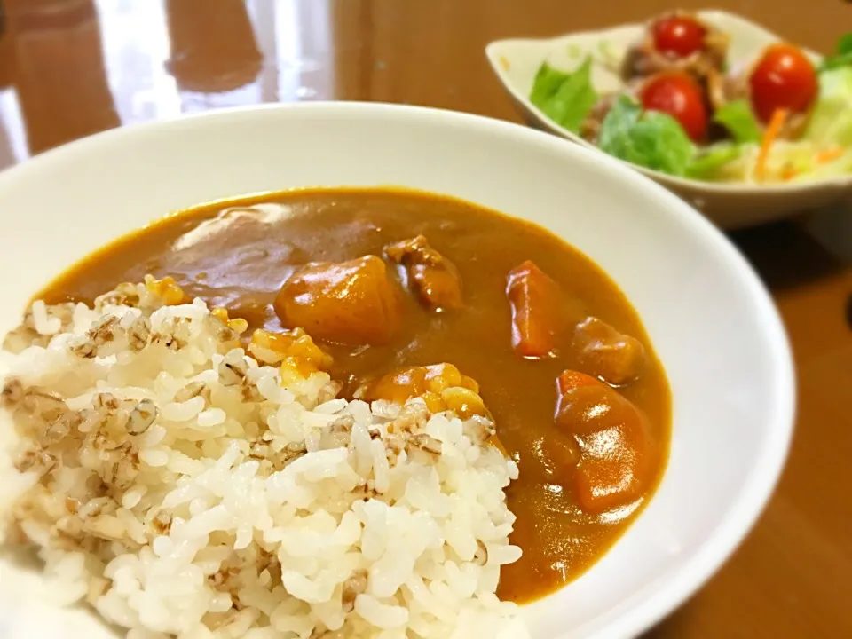 パパ作 カレー^ ^|masasho's momさん