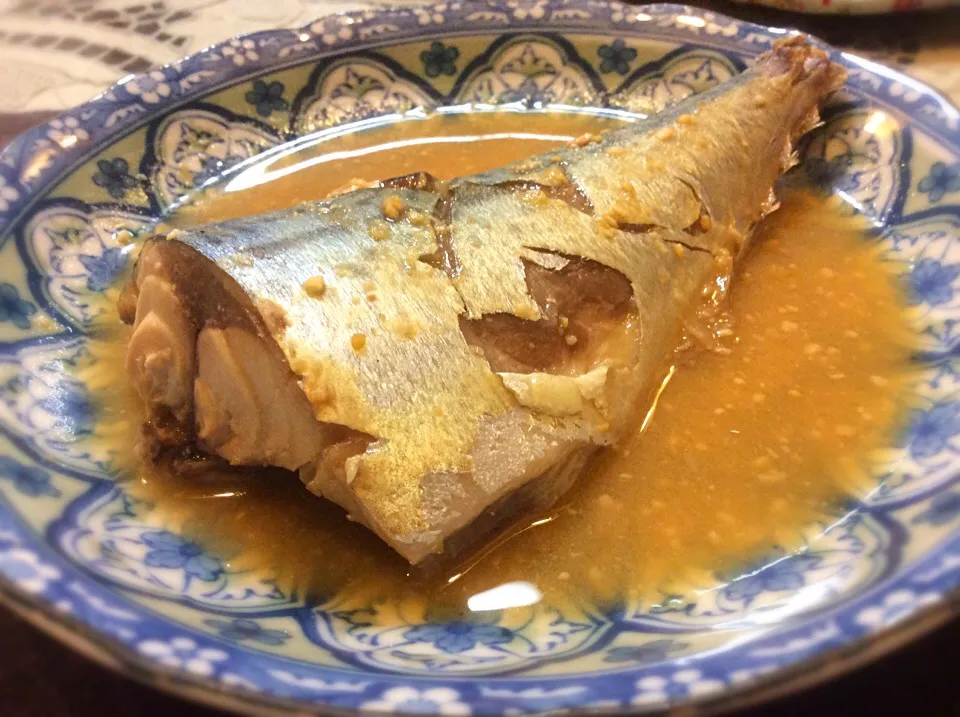 鯖の味噌煮〜🐟😋|アライさんさん