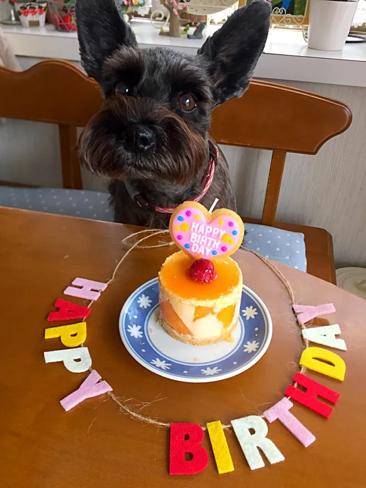 三女のバースデーケーキ🎂|Miki (^_−)−☆さん