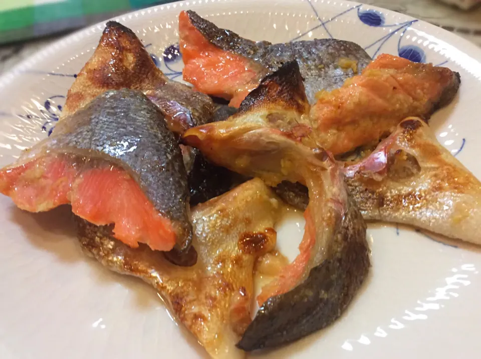 普段はあまり食べない「鮭の粕漬け」🐟😋|アライさんさん