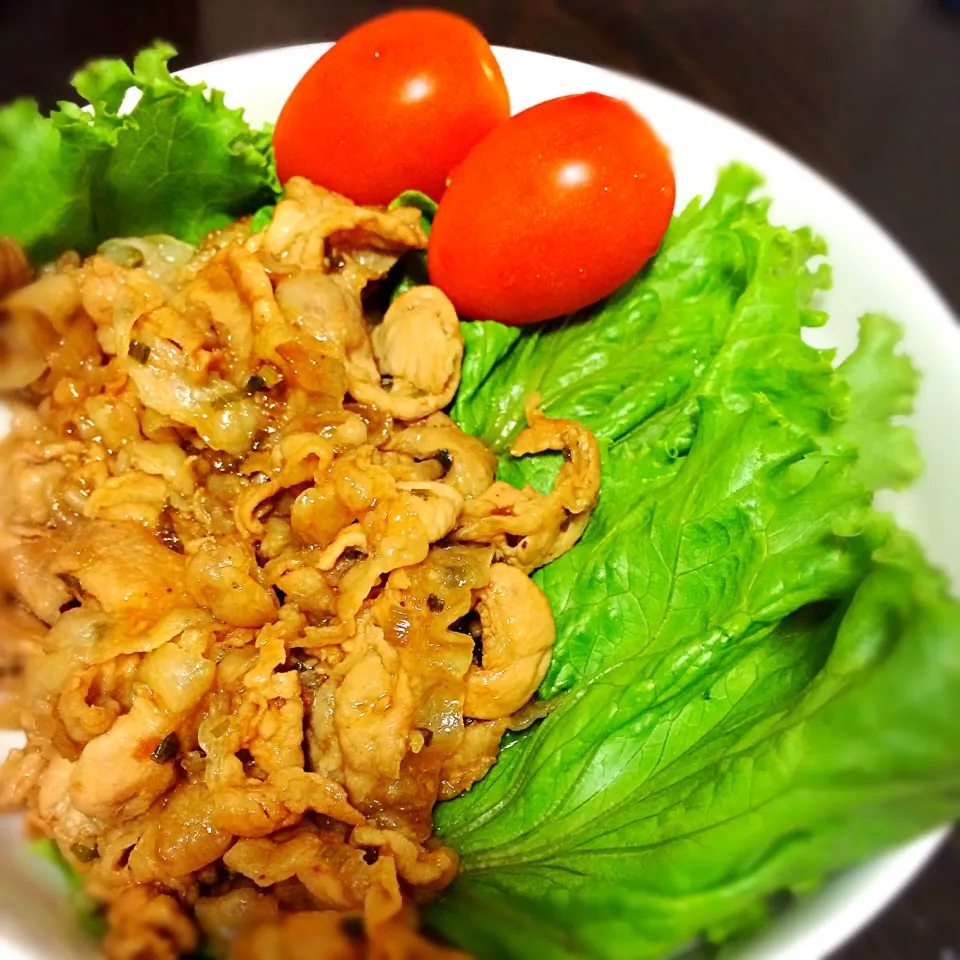 Snapdishの料理写真:焼肉丼|白石さん