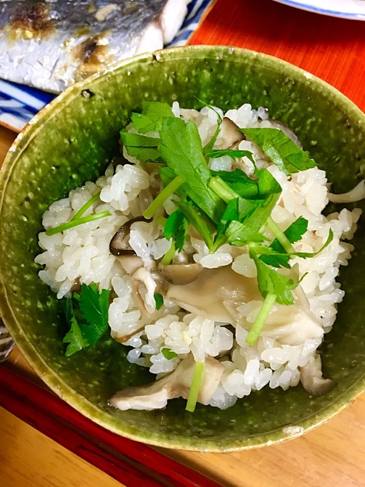 土鍋炊き 木の子ご飯🍚 
あっさり鰹出汁に鶏モモを少しと椎茸舞茸しめじ🍄|kctreeさん