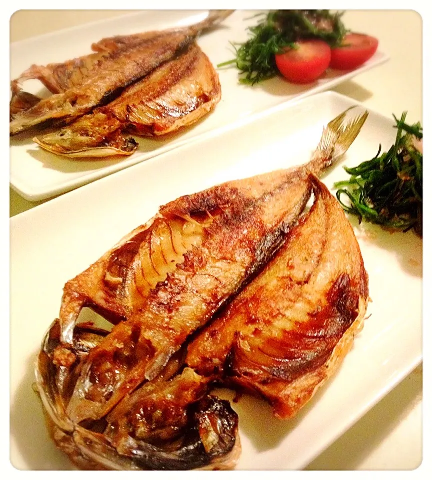 アジの干物。Dried horse mackerel|toyamadaさん