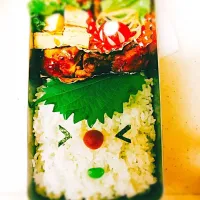 Snapdishの料理写真:中3息子お弁当|みきさん