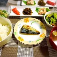 Snapdishの料理写真:鯖の塩焼き 鶏肉のねぎマヨポン 小松菜と油揚げの炒め物  その他もろもろ|みーちゃんさん