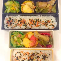 Snapdishの料理写真:本日のお弁当|satchさん