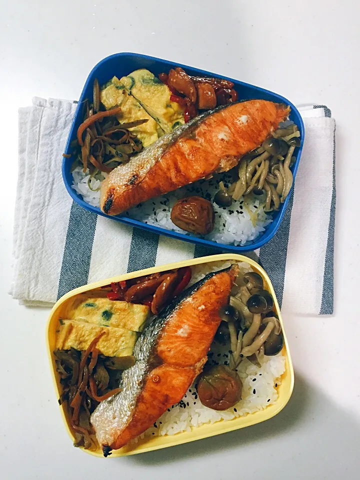 今日のお弁当 September 7|けぃさん