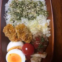 デブ弁当|しょうこさん