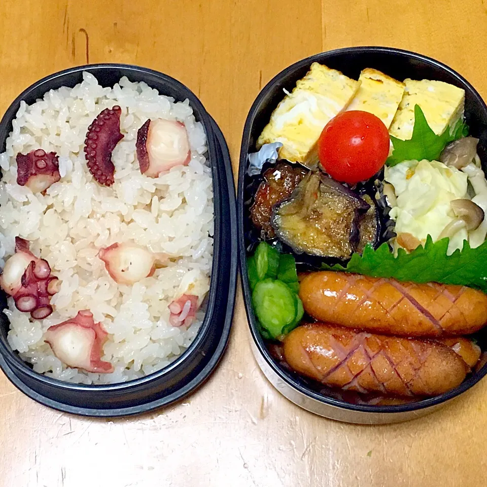 女子高生弁当(*^^*)|sachiさん