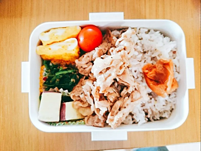 16*9*5  DK1弁当|hilocoさん