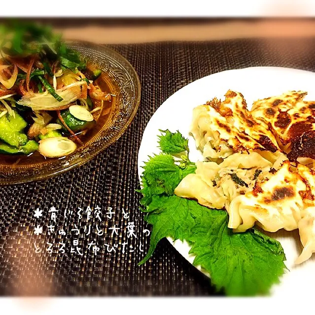 山本真希さんの料理 青紫蘇ギョウザ💚と きゅうりと大葉のとろろ昆布びたし☘|桜央里さん