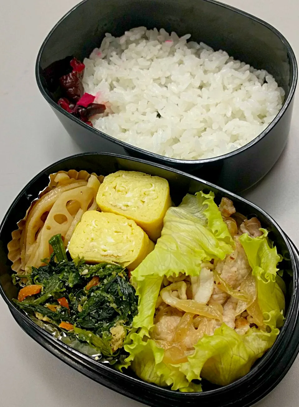 9月7日のサラメシは

豚肉の塩麹炒め
蓮きんぴら
卵焼き
ほうれん草の胡麻和え

です😁|ニッパーさん