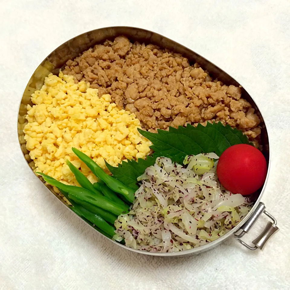 そぼろ丼

インゲンの塩茹で
キャベツのゆかり和え
プチトマト|Juneさん