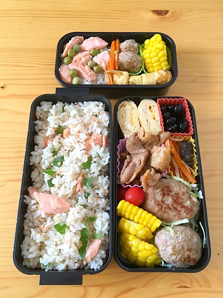 Snapdishの料理写真:9.8鮭ごはん弁当|まゆさん