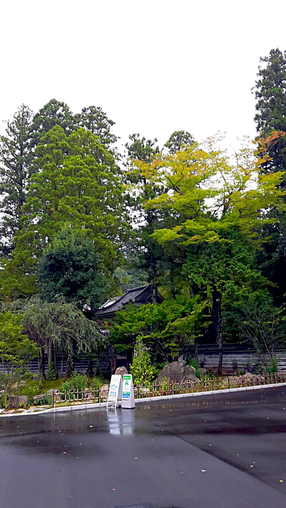 |中村祐介さん