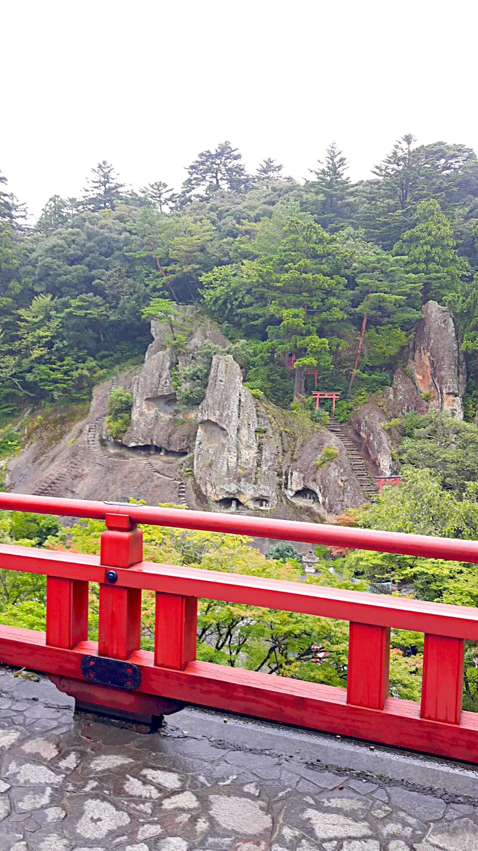 |中村祐介さん