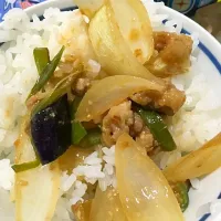 なすと野菜のピリ辛いため
みそ 小さじ2と2分の1
砂糖 小さじ２
醤油小さじ2
みりん 小さじ２

ぴーまん １個細切り
ナス 1こ玉ねぎ 乱切り
鷹の爪1本 こぶちぎり
豚の細切れ 野菜と同量

肉いためる
野菜追加
むす
ナス柔かければおけ
鷹の爪いれる
軽くいためる
調味料まとめといたのいれる
からめる
しばら|るさん