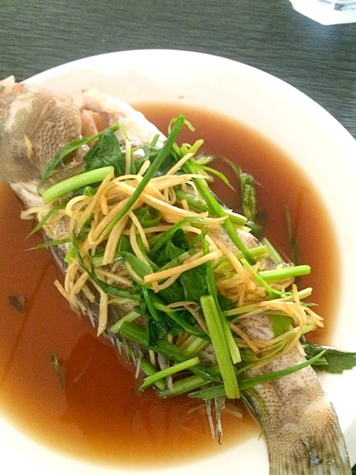 ปลานึ่งซีอิ๊ว steamed fish|SaSaさん