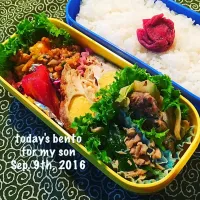 Snapdishの料理写真:息子1号弁当|7korobyさん