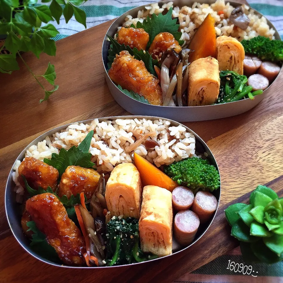 イカ天と炊き込みご飯のお弁当|さと⋆さん