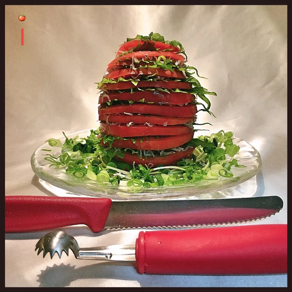 山本真希さんの料理 じゃこと青じその重ねトマトサラダ 【Stacked sliced tomato salad】|izoomさん